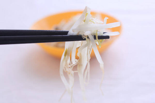 【冷凍の裏ワザ】傷みやすい「もやし」を正しく冷凍してみた！２週間保存できるうえ凍ったまま調理OK！