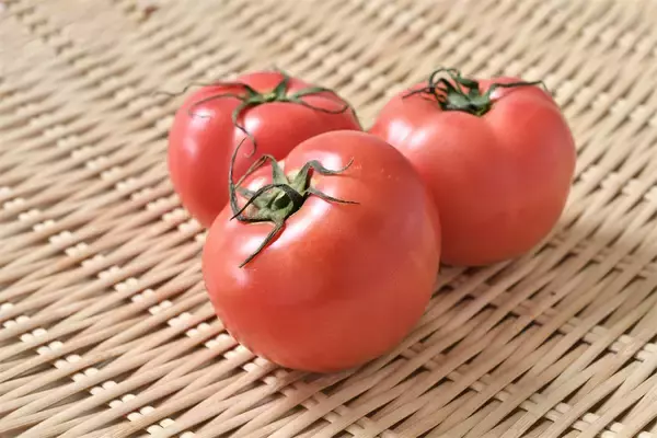 「【青髪のテツ】「トマトの美麗カット術を紹介します！」コツは…お尻!?もう飛び散らない♪つぶれない♪」の画像