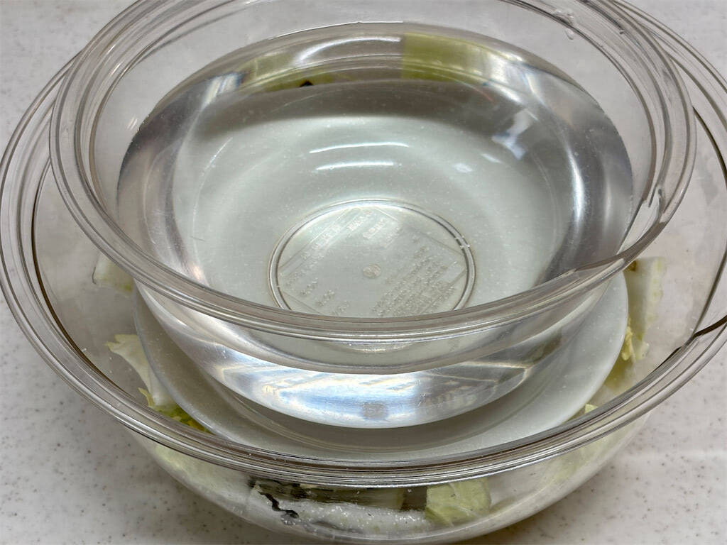 【冷蔵庫普及前のガチ保存食】昭和27年のレシピで「白菜漬け」仕込んでみた！塩味しっかり甘みもジュワッと♡