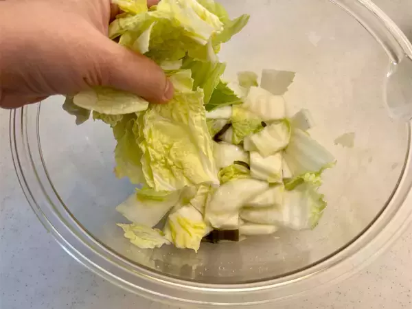 「【冷蔵庫普及前のガチ保存食】昭和27年のレシピで「白菜漬け」仕込んでみた！塩味しっかり甘みもジュワッと♡」の画像