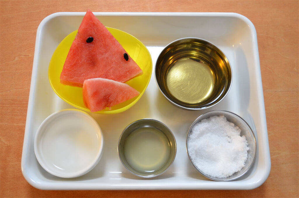 【え、すいかに白ワインを!?】混ぜて凍らすだけの絶品「すいかの白ワインシャーベット」作ってみた！【オトナスイーツ】