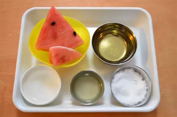 「【え、すいかに白ワインを!?】混ぜて凍らすだけの絶品「すいかの白ワインシャーベット」作ってみた！【オトナスイーツ】」の画像