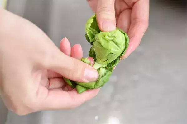 「【農家直伝！芽キャベツ初心者のあなたへ】保存法から下処理、簡単レシピまで一挙紹介！えっ「浅漬け」が最高なの!?」の画像