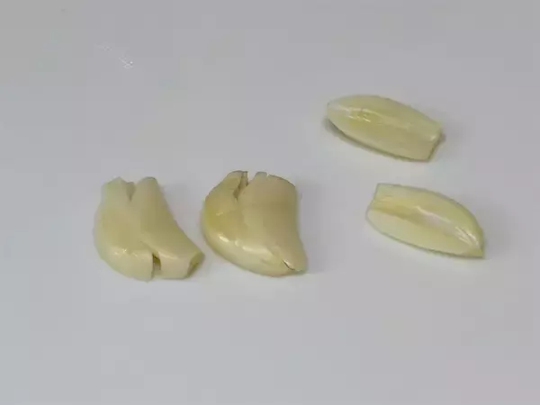 「【志麻さんのシンプル過ぎる！】ホワイトソース不要！牛乳で「ジャガイモのグラタン」作ろう！想定以上！」の画像