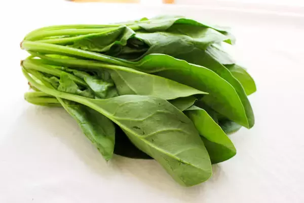 「【ドイツ人料理系YouTuber】がスペイン人に教わった「ほうれん草と新じゃがのチーズグラタン」に挑戦♪未知の料理だわ…」の画像