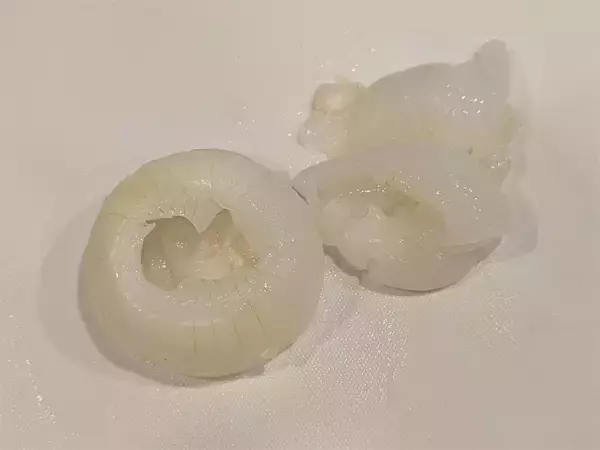 「【新玉ねぎ丸ごと】使ってグラタン作ろう！新玉トロットロ…からのツナマヨ＆チーズ堪らん♡断面も超絶萌え～」の画像