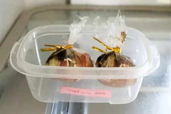 「【ストック食材が大変身】のり佃煮・切干大根で「みそ玉」作ってみた！みょうが入りで爽快みそ汁、即完成♡」の画像