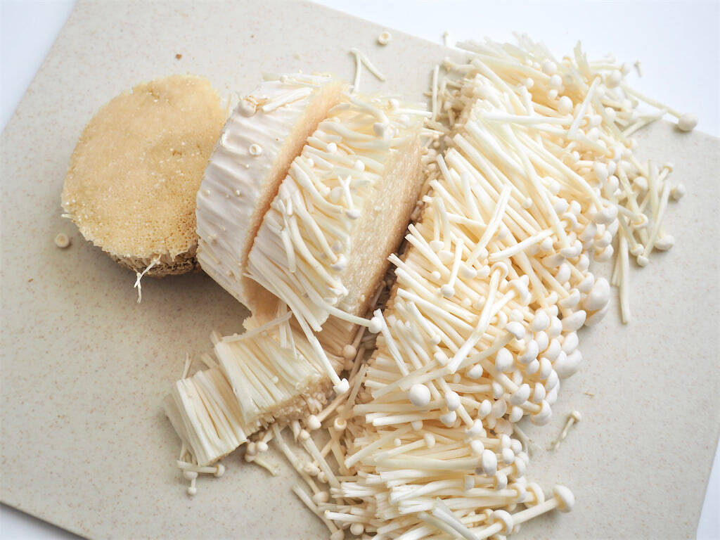 【えのき2袋が秒で消える】めんつゆ・すし酢で「合法なめ茸」作ってみた！トロ旨～ご飯泥棒が過ぎる～♡