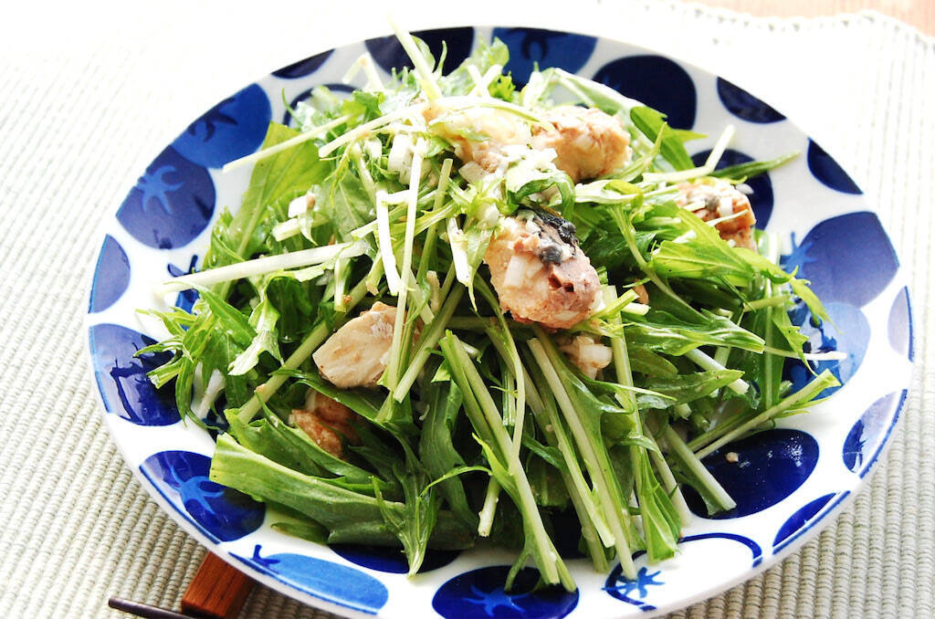 【鮭缶最強説】究極の楽々おかず「鮭と水菜のネギ塩和え」作ってみた！いいの!?こんなに簡単で…