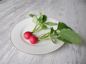 牛乳パックで「ラディッシュ」育ててみた！35日で収穫できた♪初心者でも簡単だった件【東京農ライフ】