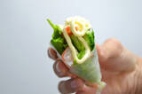 「【1本で野菜不足解消】鶏むねとエビと野菜でパンパン「全部のせ生春巻き」作ってみた！今日はコレだけでいい♪」の画像12