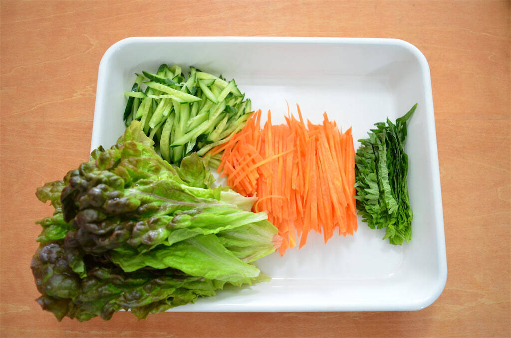 【1本で野菜不足解消】鶏むねとエビと野菜でパンパン「全部のせ生春巻き」作ってみた！今日はコレだけでいい♪