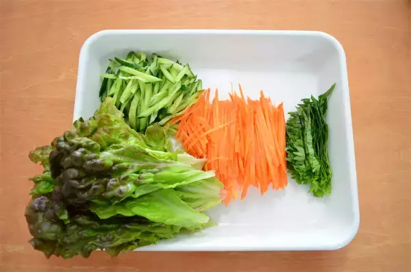 「【1本で野菜不足解消】鶏むねとエビと野菜でパンパン「全部のせ生春巻き」作ってみた！今日はコレだけでいい♪」の画像