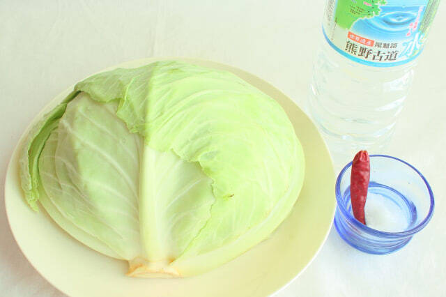 【おうち発酵で腸活】お腹の調子、「発酵キャベツ」で整えてみた！3日ほったらかすだけ!?じんわ〜り酸味