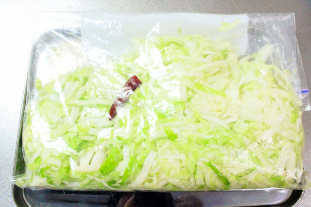 【おうち発酵で腸活】お腹の調子、「発酵キャベツ」で整えてみた！3日ほったらかすだけ!?じんわ〜り酸味