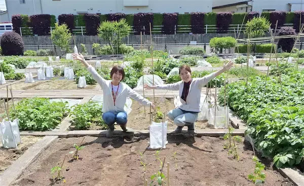 農作業初心者な「にちにち農ガール」2人が初めての野菜作り・体験レポ【その2：夏野菜を苗から育てる編】