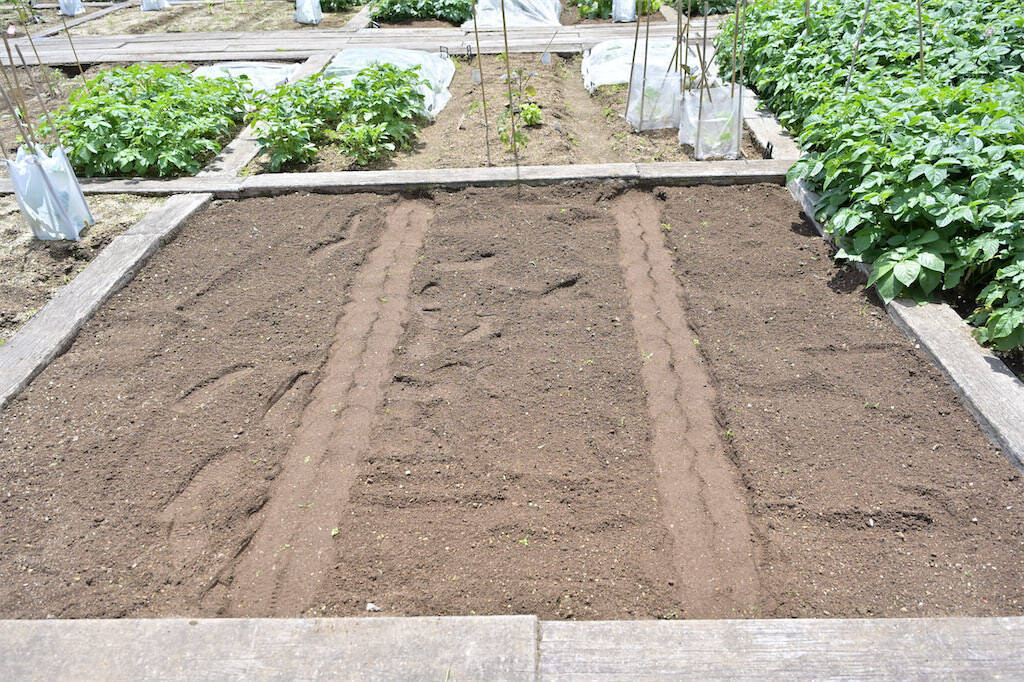 農作業初心者な「にちにち農ガール」2人が初めての野菜作り・体験レポ【その2：夏野菜を苗から育てる編】