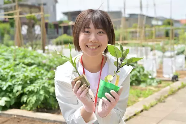 「農作業初心者な「にちにち農ガール」2人が初めての野菜作り・体験レポ【その2：夏野菜を苗から育てる編】」の画像