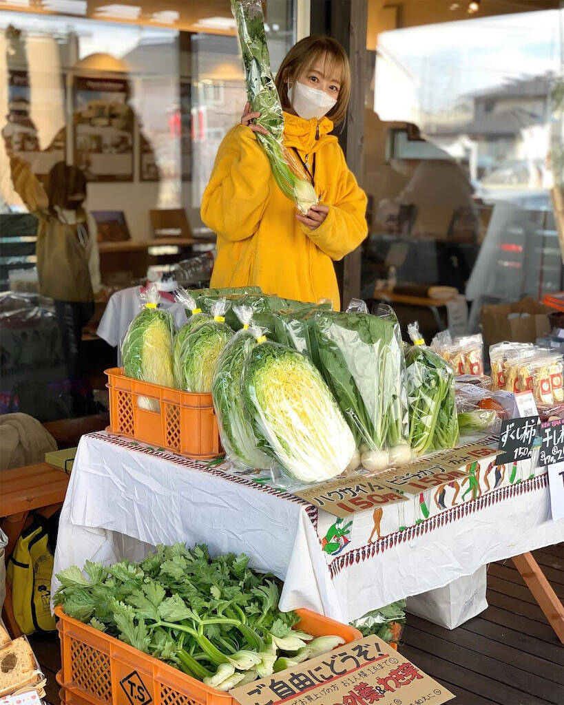 【じゃないレシピ】キャベツならぬ白菜で「もんじゃ焼き」作ってみた！ジューシーでこっちが優勝!?【農家直伝】