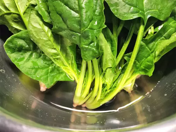 「【一度覚えれば一生もん】賛否両論・笠原流「ほうれん草のおひたしの作り方」にトライ！」の画像