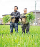 「【田園日記～農と人の物語～ Vol.30】室町時代から守られてきた伝統野菜「法性寺ねぎ」」の画像2