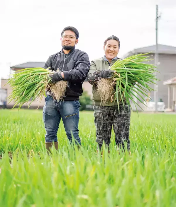 「【田園日記～農と人の物語～ Vol.30】室町時代から守られてきた伝統野菜「法性寺ねぎ」」の画像