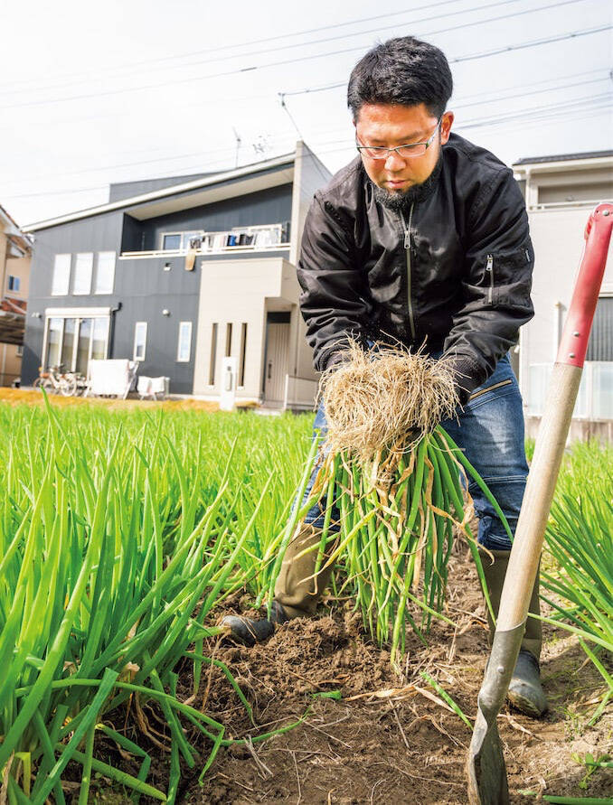 【田園日記～農と人の物語～ Vol.30】室町時代から守られてきた伝統野菜「法性寺ねぎ」