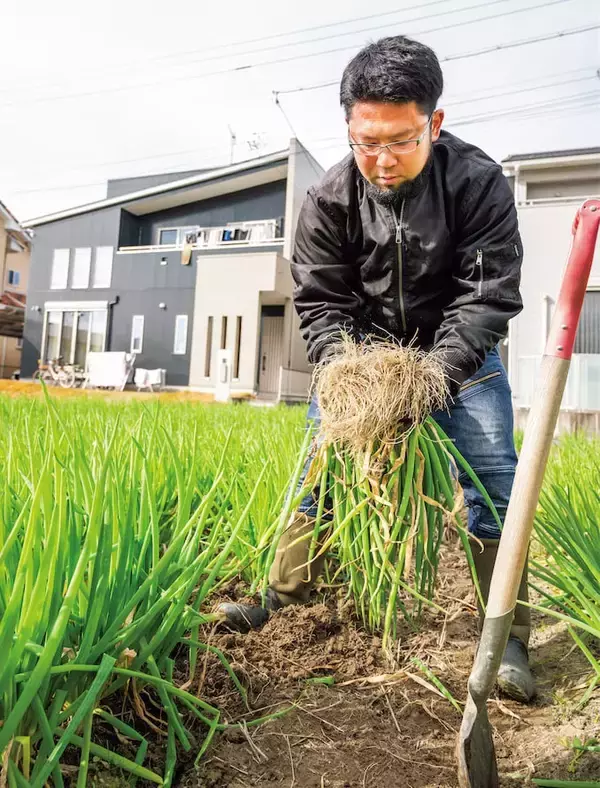 「【田園日記～農と人の物語～ Vol.30】室町時代から守られてきた伝統野菜「法性寺ねぎ」」の画像