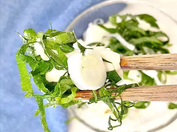 「「タモさん流★冷奴」は醤油じゃなく“塩”で！薬味の味も香りもダイレクトで王道のおいしさ♡【タモリレシピ】」の画像