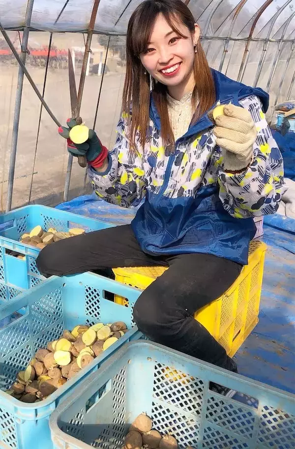 「【北海道の農家が選ぶ】じゃがいものおすすめ３品種！それぞれの特徴とおいしいレシピ【大発表！】」の画像