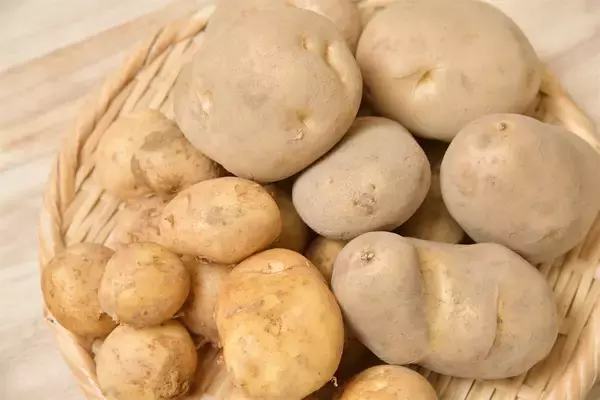 「【北海道の農家が選ぶ】じゃがいものおすすめ３品種！それぞれの特徴とおいしいレシピ【大発表！】」の画像