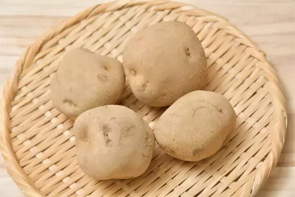 「【北海道の農家が選ぶ】じゃがいものおすすめ３品種！それぞれの特徴とおいしいレシピ【大発表！】」の画像