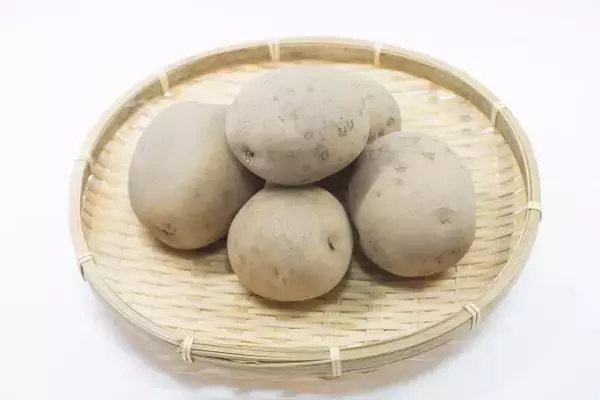 「【北海道の農家が選ぶ】じゃがいものおすすめ３品種！それぞれの特徴とおいしいレシピ【大発表！】」の画像