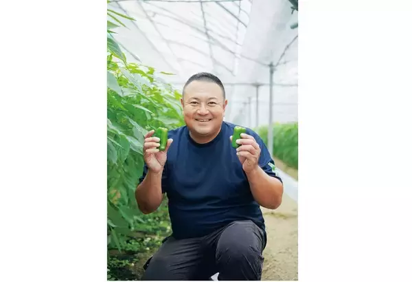 「【田園日記～農と人の物語～ Vol.25】肉厚で苦みマイルド 栄養たっぷりのピーマン「グリーンザウルス」」の画像