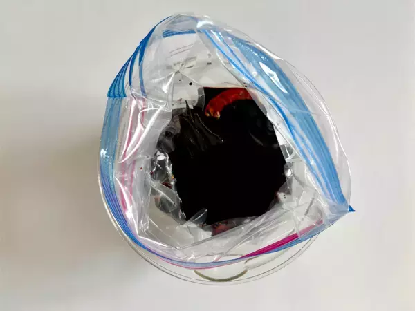 「とろり濃厚な醤油！独特の風味がクセになる「小カブのたまりしょうゆ漬け」作ろう！角のない優しいお味♡」の画像