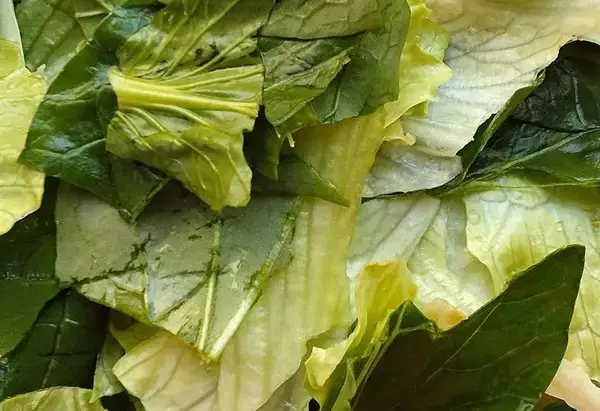 「【いちご大量消費】葉野菜サラダにいちごをオン!?いちごドレッシングもた～っぷりかけて甘酸っぱさ全開のひと皿爆誕」の画像