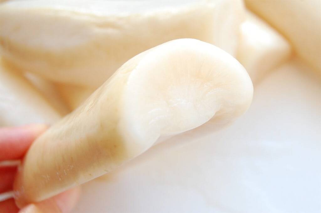 【熟成の7日間】袋に入れてじっと待つ♡大根1本と家にある調味料で出来る「自家製たくあん」作ってみた