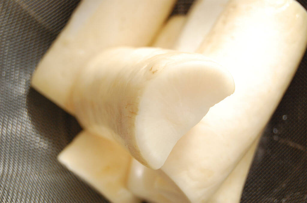 【熟成の7日間】袋に入れてじっと待つ♡大根1本と家にある調味料で出来る「自家製たくあん」作ってみた