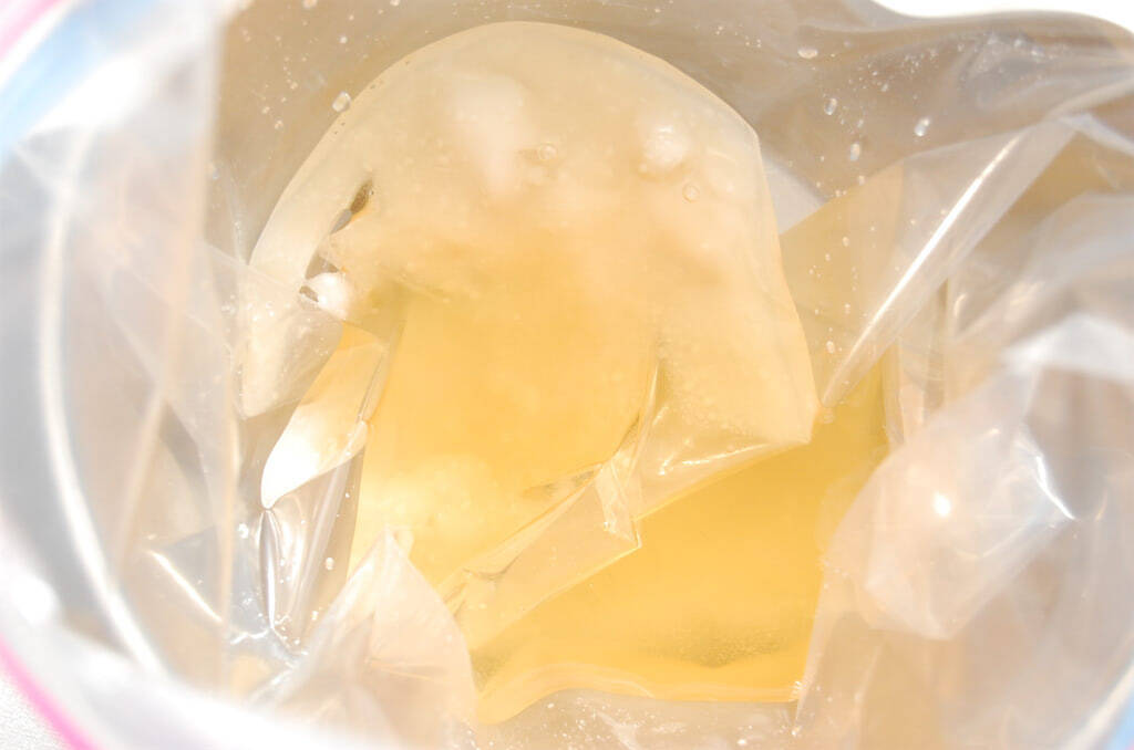 【熟成の7日間】袋に入れてじっと待つ♡大根1本と家にある調味料で出来る「自家製たくあん」作ってみた