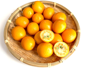 【金柑の食べ方】そのまま食べられるの!?皮は剥くの!?種はとる!?そして、手軽な調理法と保存法まで紹介