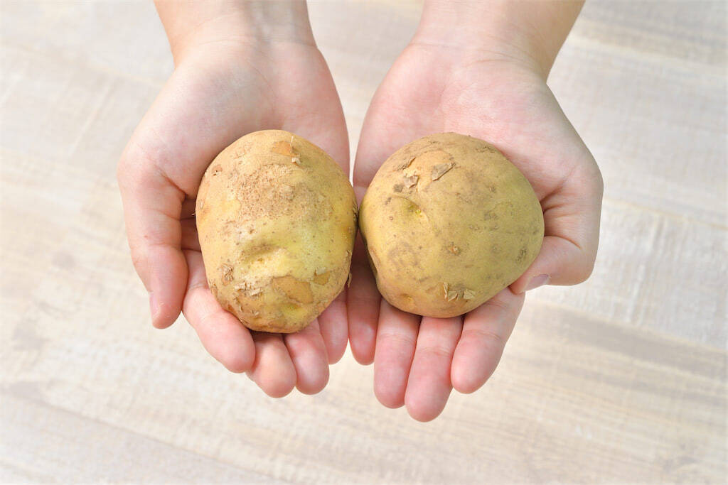 【めんどくさい…が解決！】じゃがいもの皮が「スルッと剥ける」裏ワザ！ピーラーいらず♪【青髪のテツ】