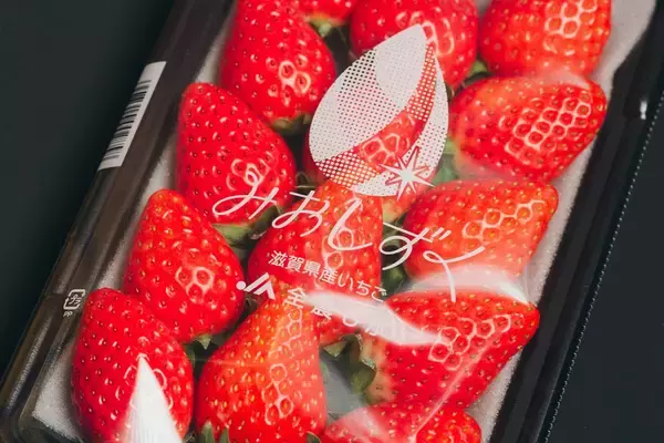 「【クリスマスケーキ風サラダ】元フレンチ講師のイチゴ農家直伝「禁断のイチゴサラダ」で新しい味覚が目覚めた♡」の画像