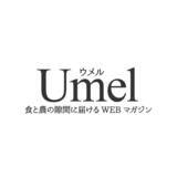 「【クリスマスケーキ風サラダ】元フレンチ講師のイチゴ農家直伝「禁断のイチゴサラダ」で新しい味覚が目覚めた♡」の画像8