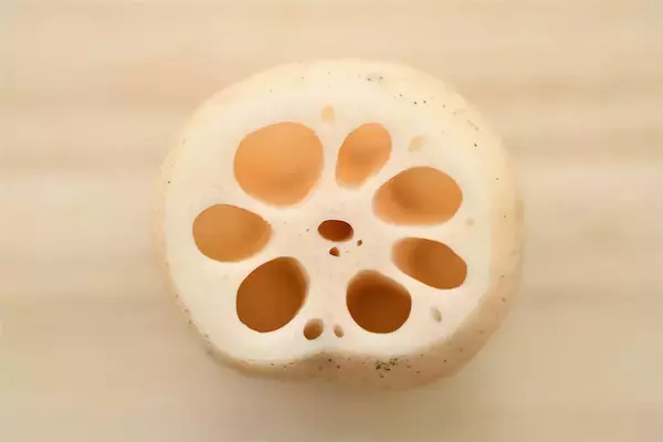 一目瞭然【れんこんの選び方】新鮮さは…切り口の色＆穴の形に現れる!?【れんこん農家直伝】