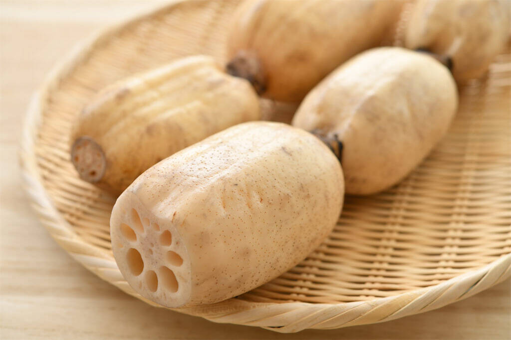 一目瞭然【れんこんの選び方】新鮮さは…切り口の色＆穴の形に現れる!?【れんこん農家直伝】