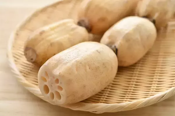 「一目瞭然【れんこんの選び方】新鮮さは…切り口の色＆穴の形に現れる!?【れんこん農家直伝】」の画像