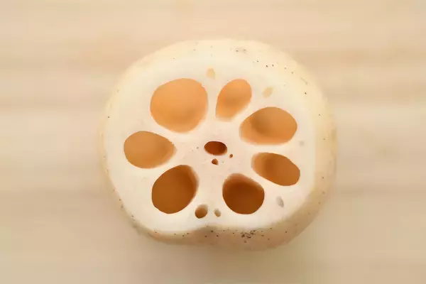 「一目瞭然【れんこんの選び方】新鮮さは…切り口の色＆穴の形に現れる!?【れんこん農家直伝】」の画像