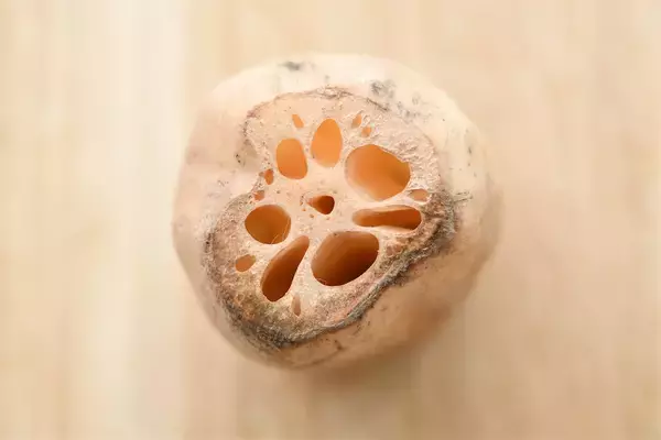 「一目瞭然【れんこんの選び方】新鮮さは…切り口の色＆穴の形に現れる!?【れんこん農家直伝】」の画像