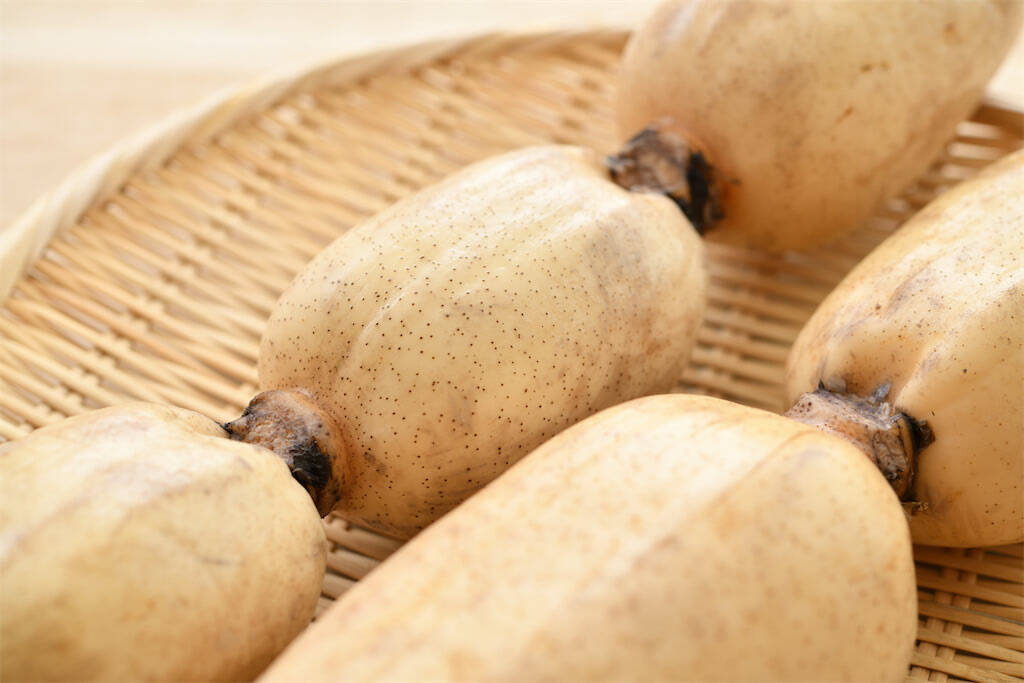 一目瞭然【れんこんの選び方】新鮮さは…切り口の色＆穴の形に現れる!?【れんこん農家直伝】