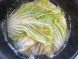 「【農家直伝】ロールキャベツならぬ「ドーム白菜」作ってみた！包んで煮込むだけで簡単・カワイイ・ウマい〜♡」の画像12